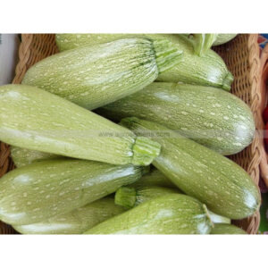 Courgette Petite Verte d'Alger