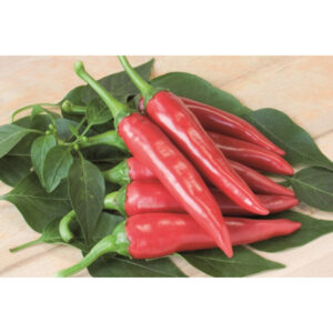 piment de Cayenne