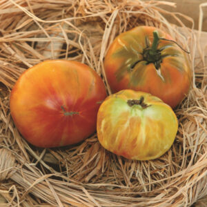 Tomate Ananas